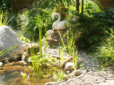 Idyll nature and natural pond characterized by a refined attention to details